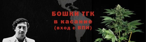 дмт Арсеньев