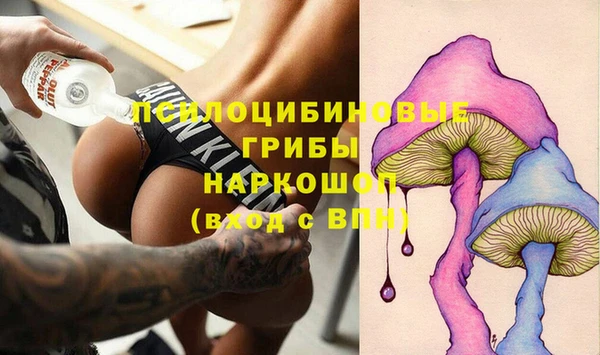 дмт Арсеньев