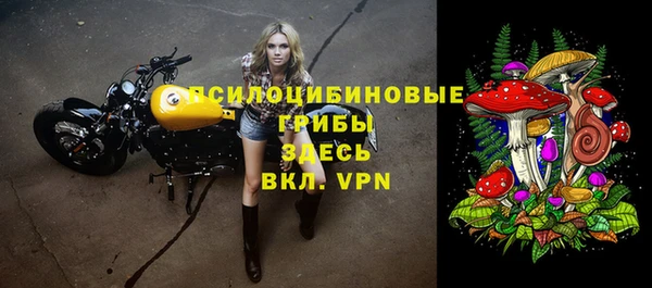 дмт Арсеньев