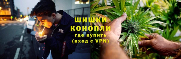 дмт Арсеньев