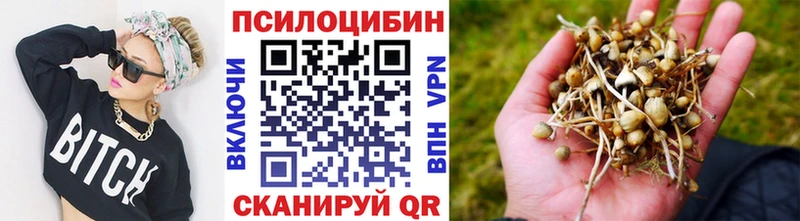Купить закладки  Анива  Галлюциногенные грибы мухоморы 